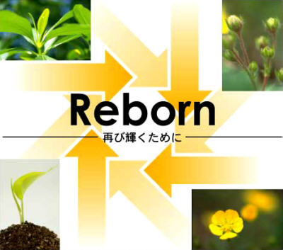 Reborn 再び輝くために